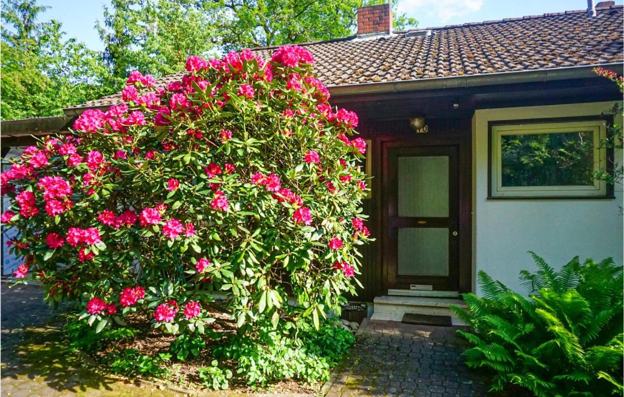 Cozy Apartment In Hinterweidenthal With Sauna Exterior photo